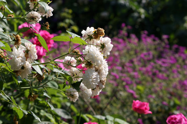 Similar image 8097980