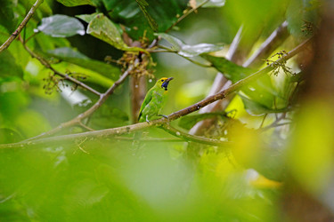 Similar image 8097993