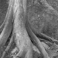 Similar image 8097999