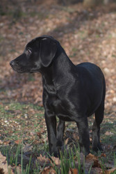 Similar image 8098001