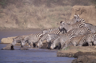 Similar image 8098002