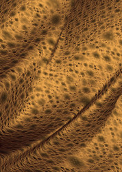 Similar image 8098016