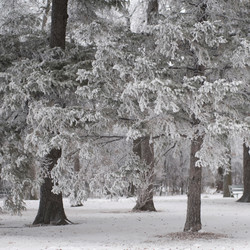 Similar image 8098020