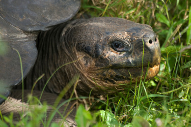 Similar image 8098025