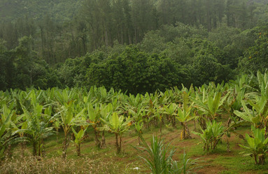 Similar image 8098035