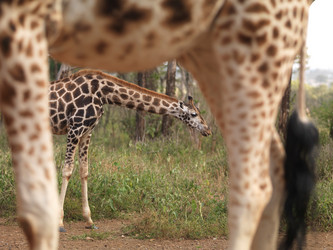 Similar image 8098047