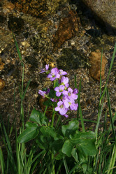 Similar image 8098062