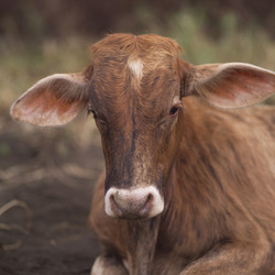 Similar image 8098064