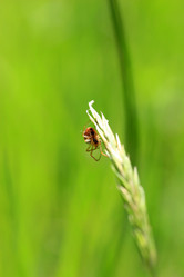 Similar image 8098067