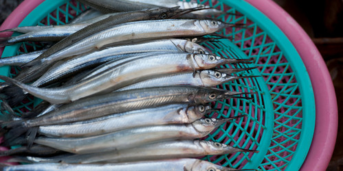 Similar image 8098069