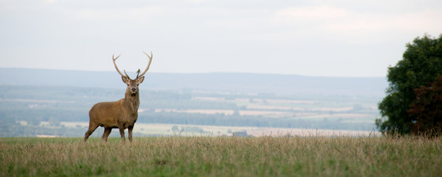 Similar image 8098083