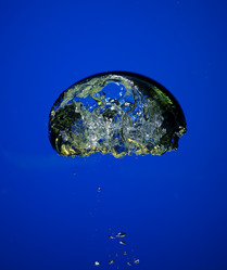 Similar image 8098091