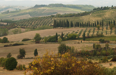 Similar image 8098116