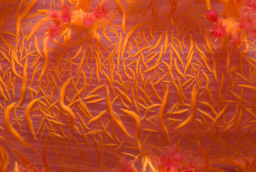 Similar image 8098120