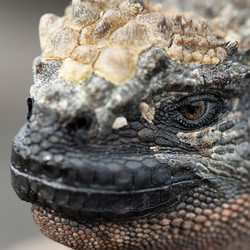 Similar image 8098121