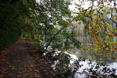 Similar image 8098123