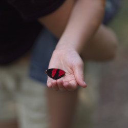 Similar image 8098124