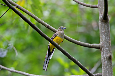 Similar image 8098127