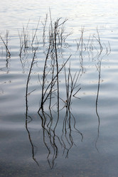 Similar image 8098130