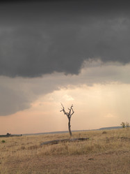 Similar image 8098134