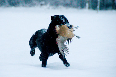 Similar image 8098135