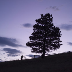 Similar image 8098140