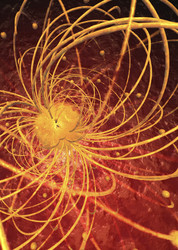 Similar image 8098144