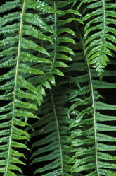 Similar image 8098150