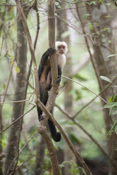 Similar image 8098153