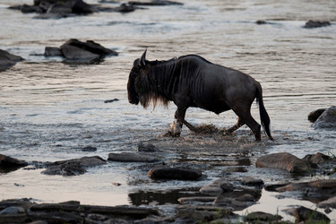 Similar image 8098162