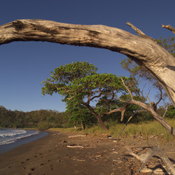 Similar image 8098163