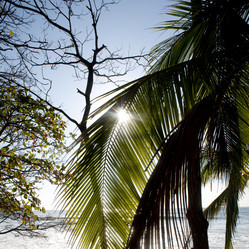 Similar image 8098166