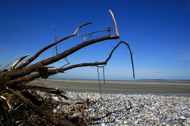 Similar image 8098178