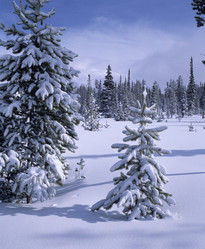 Similar image 8098184