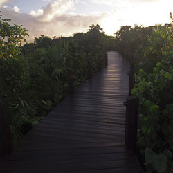 Similar image 8098188