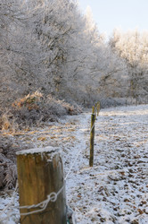 Similar image 8098229