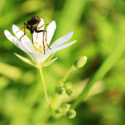 Similar image 8098232