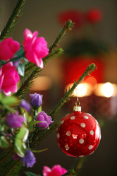 Similar image 8098235