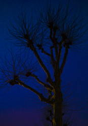 Similar image 8098243