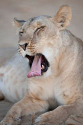 Similar image 8098248