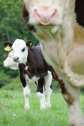 Similar image 8098251