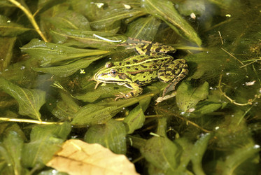 Similar image 8098252