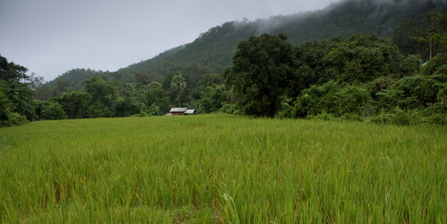 Similar image 8098255