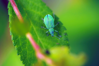 Similar image 8098261