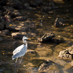 Similar image 8098264