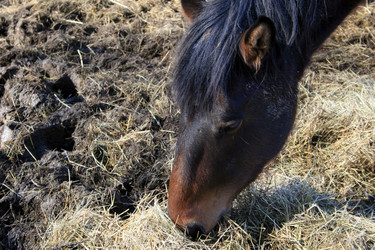 Similar image 8098265