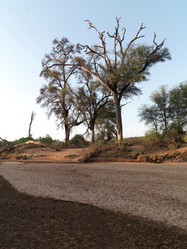 Similar image 8098271