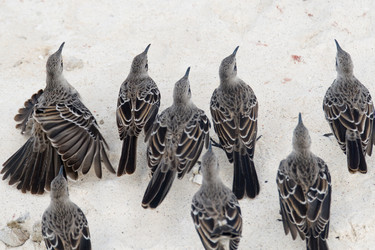 Similar image 8098273