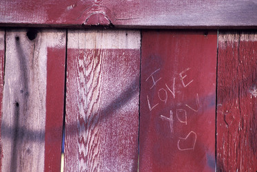 Similar image 8098281