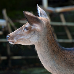 Similar image 8098293